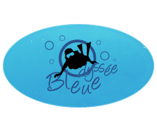 logo odyssee bleue